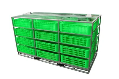 Sistèm manyen zwazo vivan